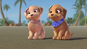 Xem Phim Chị em Barbie đuổi theo các chú cún