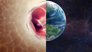 Phim Con người: Thế giới bên trong cơ thể - Human: The World Within (2021) Phim Con người: Thế giới bên trong cơ thể - Human: The World Within (2021)