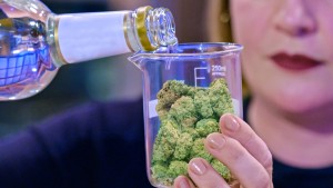 Phim Cuộc thi nấu cần - Cooked with Cannabis (2020) Phim Cuộc thi nấu cần - Cooked with Cannabis (2020)