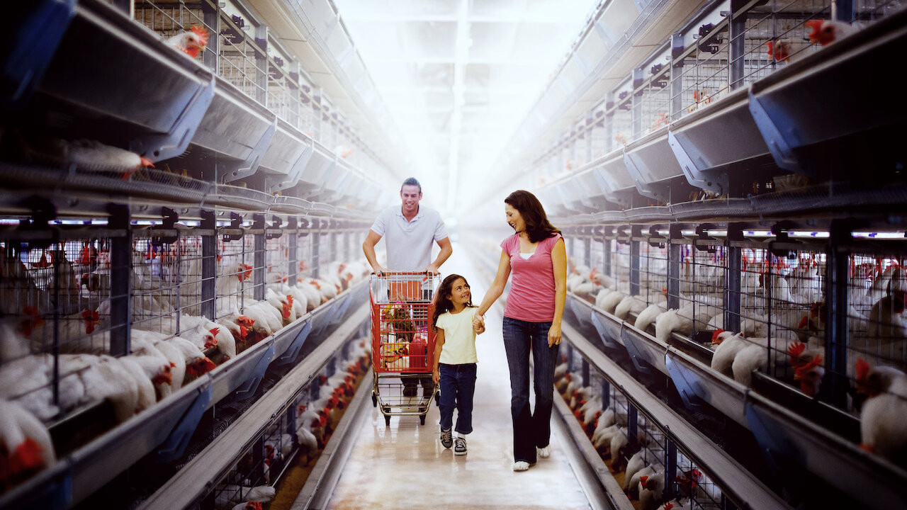 Phim Đầu độc: Sự thật bẩn thỉu về thực phẩm - Poisoned: The Dirty Truth About Your Food (2023) Phim Đầu độc: Sự thật bẩn thỉu về thực phẩm - Poisoned: The Dirty Truth About Your Food (2023)