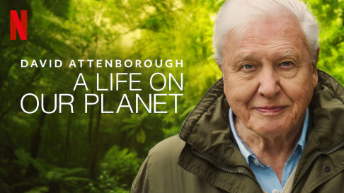 Phim David Attenborough: Một cuộc đời trên Trái Đất - David Attenborough: A Life on Our Planet (2020) Phim David Attenborough: Một cuộc đời trên Trái Đất - David Attenborough: A Life on Our Planet (2020)