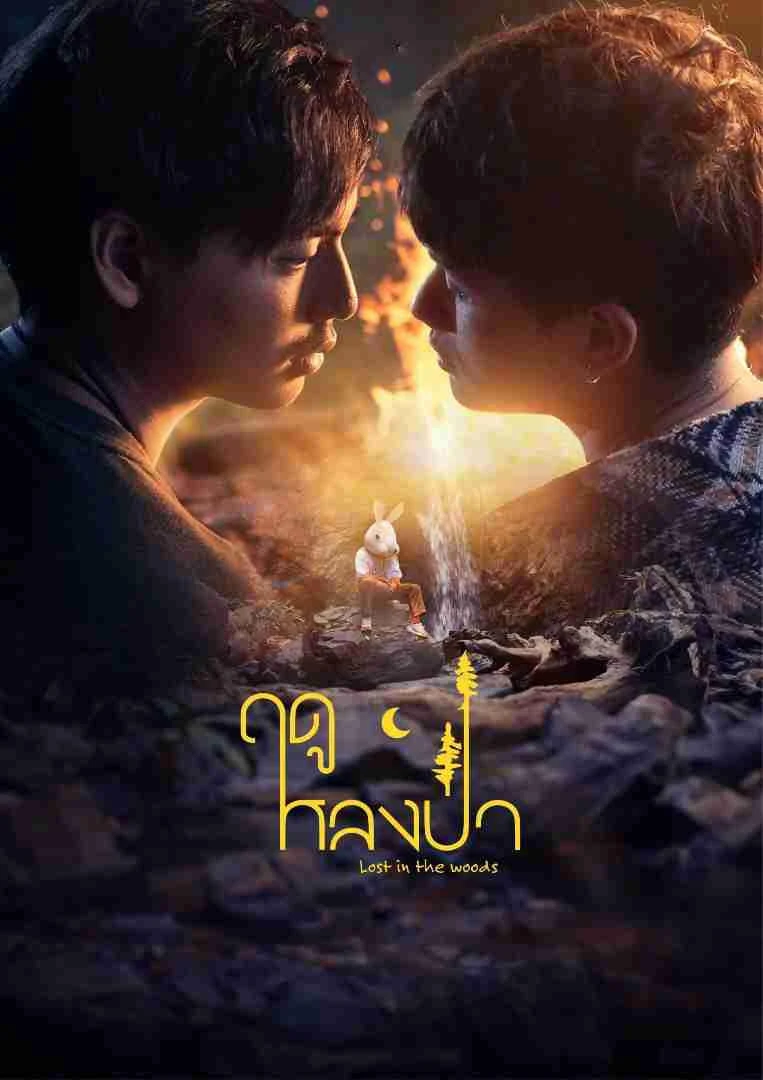 Phim Mùa Lạc Trong Rừng - Lost In The Woods (2025)