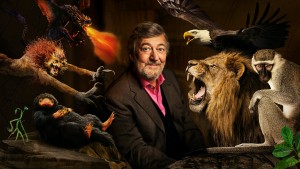 Phim Sinh Vật Huyền Bí: Lịch Sử Tự Nhiên - Fantastic Beasts: A Natural History (2022) Phim Sinh Vật Huyền Bí: Lịch Sử Tự Nhiên - Fantastic Beasts: A Natural History (2022)