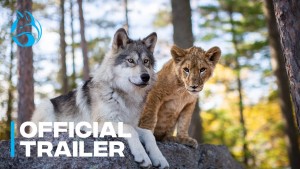 Xem Phim The Wolf and the Lion